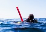 Diving on Socotra archipelago