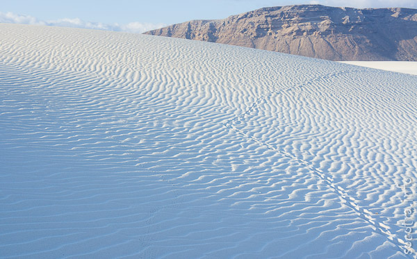 Socotra Picture of the Day: The white sands of Socotra