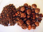 Dragon's Blood — ideal antiseptic