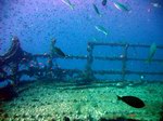 Diving in Socotra on 13-20 March, 2010