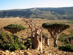 Homhil Plateau