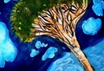 Temethel as the most bright element of soqotran folklore poetry