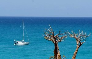 Sailing on Socotra, Arabian Sea, Indian Ocean