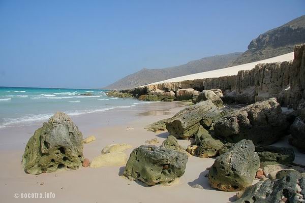 Socotra Picture of the Day: beach on Delisha