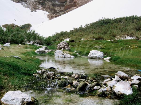 Socotra Picture of the Day: Frash water in Archer