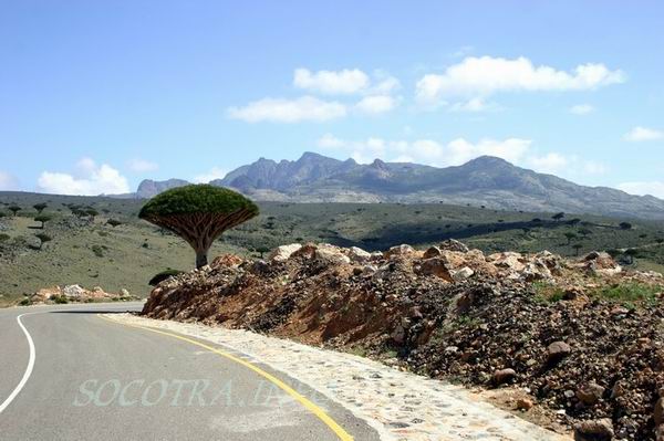 Socotra Picture of the Day: views across Skant area