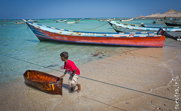 Socotra Picture of the Day: А little fisherman