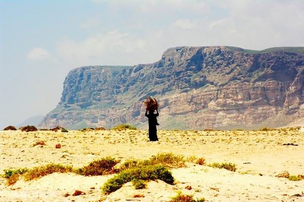 Socotra Picture of the Day: A local woman carrying a bundle of brushwood