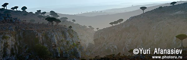 Socotra Picture of the Day: View of the plateau Dixam