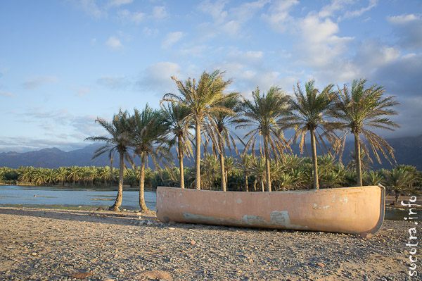 Socotra Picture of the Day: Landscapes in Hadibo