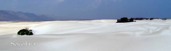 Socotra Picture of the Day: Sand dunes in Noget