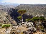Standard 7-day tour with overnight stops at Hadiboh’s hotels or at camping sites
