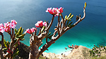 Socotra video